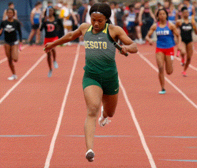 DeSoto 4x100